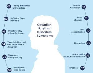 Sleep and Stimulants: How Lingering Energy Drink Effects Can Disrupt Your Circadian Rhythm and Overall Health