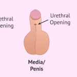 article_10883_featured_1770890642